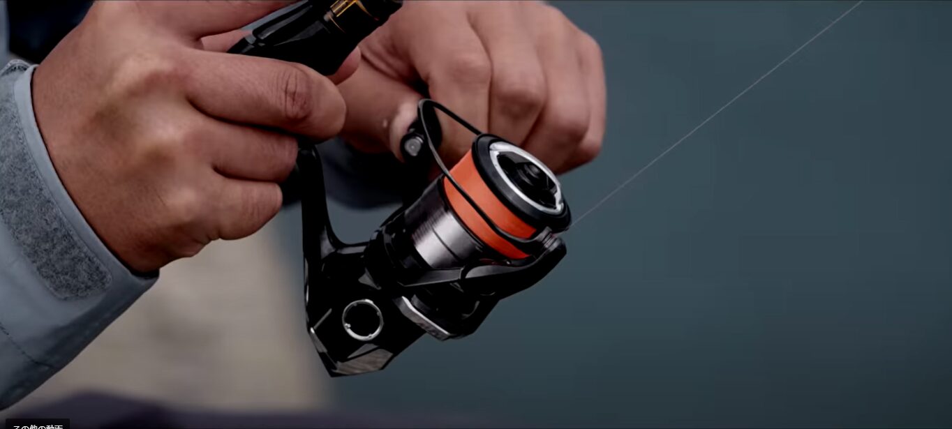 エギングでのヴァンキッシュとステラの選びの鉄則 - 釣りラボ